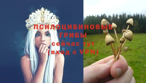 гашик Заволжье