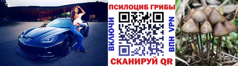 Псилоцибиновые грибы Psilocybine cubensis kraken зеркало Сенгилей